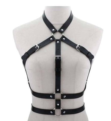Harness- with buckles and O ring